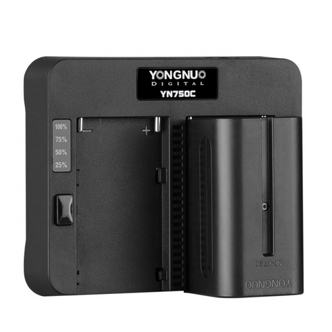 Зарядное устройство YN750C для батарей NP-F550/F570/F750/F770/F950/F960/F970 для LED освещения YOUNGNUO 000079163 фото