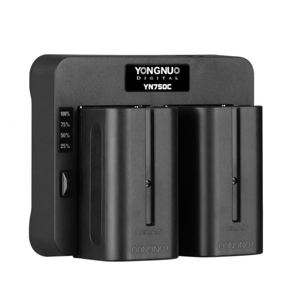 Зарядное устройство YN750C для батарей NP-F550/F570/F750/F770/F950/F960/F970 для LED освещения YOUNGNUO 000079163 фото