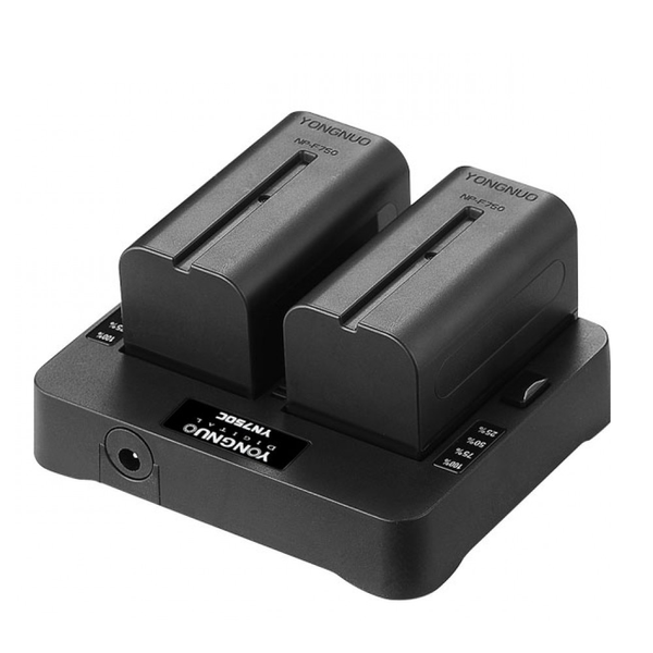 Зарядное устройство YN750C для батарей NP-F550/F570/F750/F770/F950/F960/F970 для LED освещения YOUNGNUO 000079163 фото